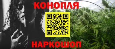 прущие крисы Гай