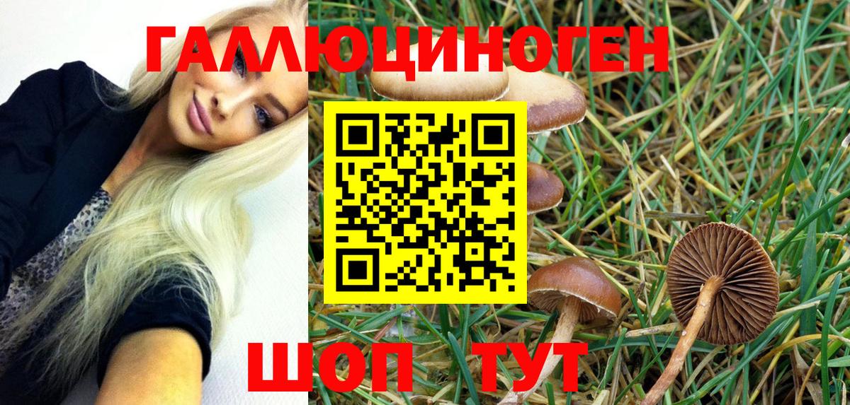 Галлюциногенные грибы ЛСД  Псилоцибиновые грибы MAGIC MUSHROOMS  Вход с VPN  Орехово-Зуево 